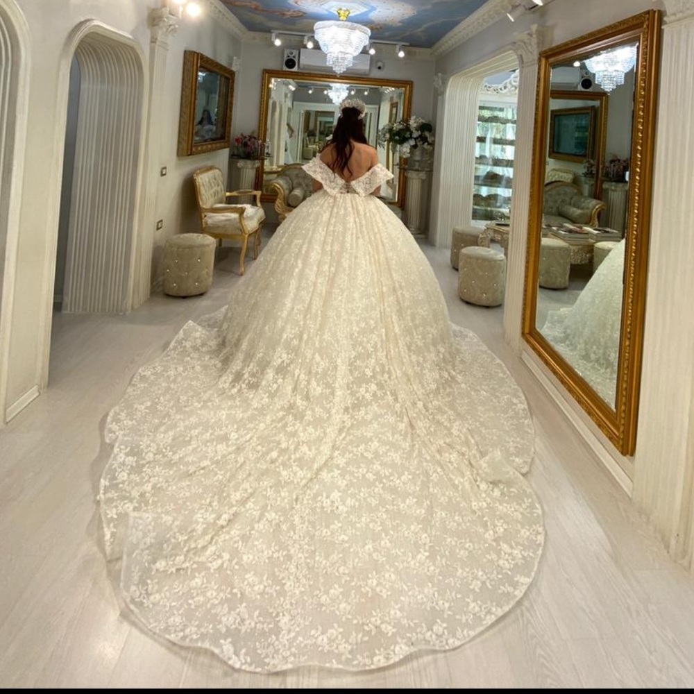 FRIDA XHOI & XHEI WEDDING DRESS BRAND NEW NEVER WORN w/ veil and crown - Picture 6 of 11